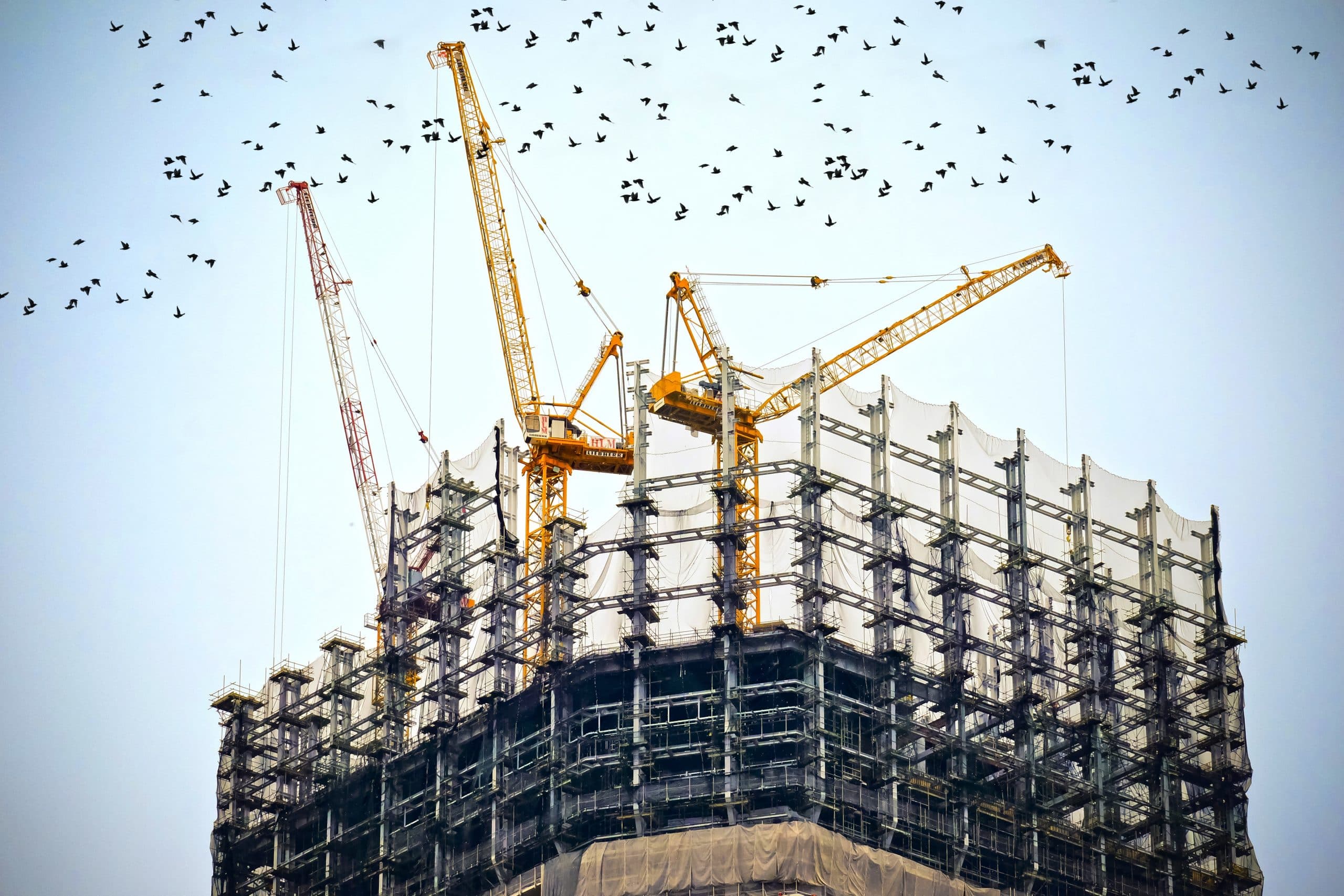 Tower cranes above a high-rise under construction